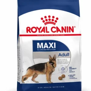 MAXI ADULT