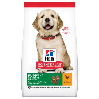 HILLS PUPPY LARGE CHICKEN