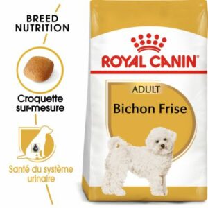 BICHON FRISE ADULT