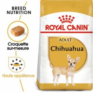 CHIHUAHUA ADULT