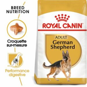 BERGER ALLEMAND ADULT