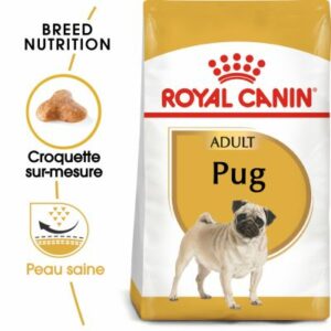 PUG ADULT