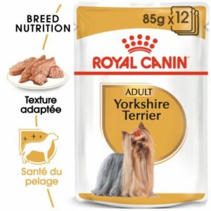 YORKSHIRE TERRIER POUCH