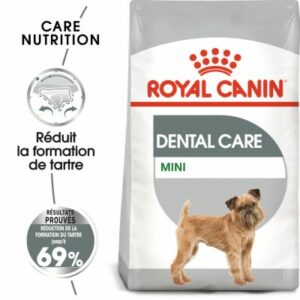 MINI DENTAL CARE