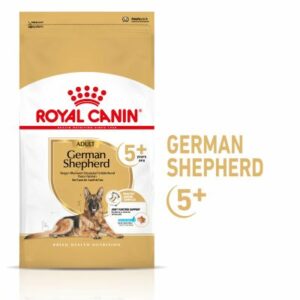 BERGER ALLEMAND 5+