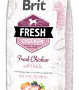 BRIT FRESH PUPPY POULET POMME DE TERRE