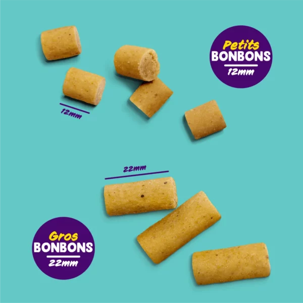 Bonbons - Saumon et Poulet 50gr – Image 5